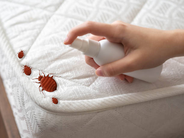 Best Real Estate Pest Inspections  in Troy, MI